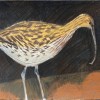 Aberlady Bay Curlew