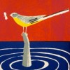 Grey Wagtail