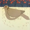 Dove