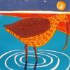 Curlew